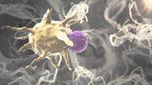 एड्स  वायरस