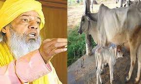 सैयद जैनुल आबेदीन अली खान 