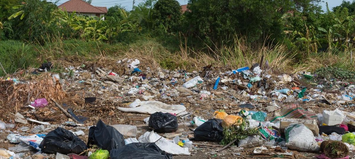 प्लास्टिक कैरी बैग पर 1 मई से प्रतिबंध 