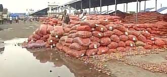  प्याज खरीदी 