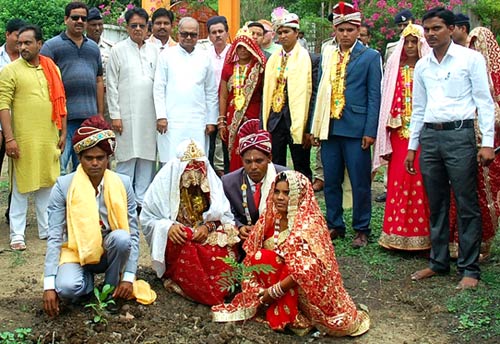 दमोह में फेरों के तत्काल बाद रोपे पौधे 