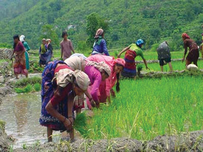 महिला किसान