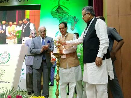  नेशनल ग्रीन ट्रिब्यूनल(एनजीटी) 