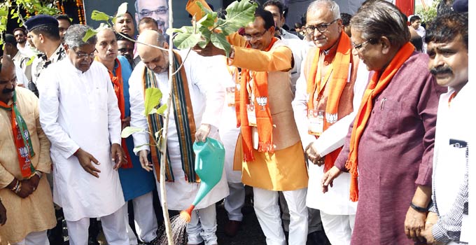  सांसद अमित शाह