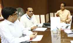 भावांतर भुगतान योजना में लहसुन 