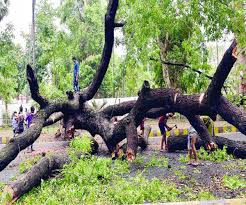 आंधी-तूफान का कहर