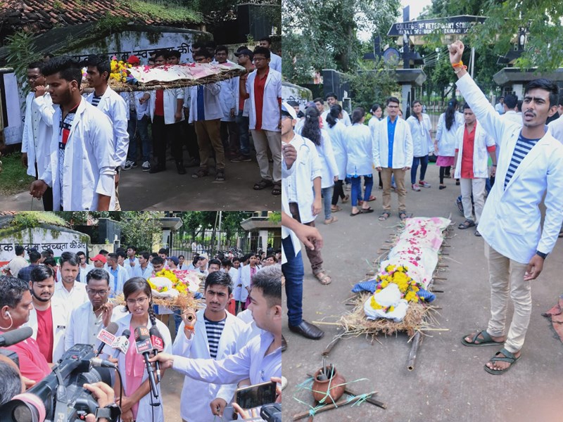 वेटरनरी प्रदर्शन