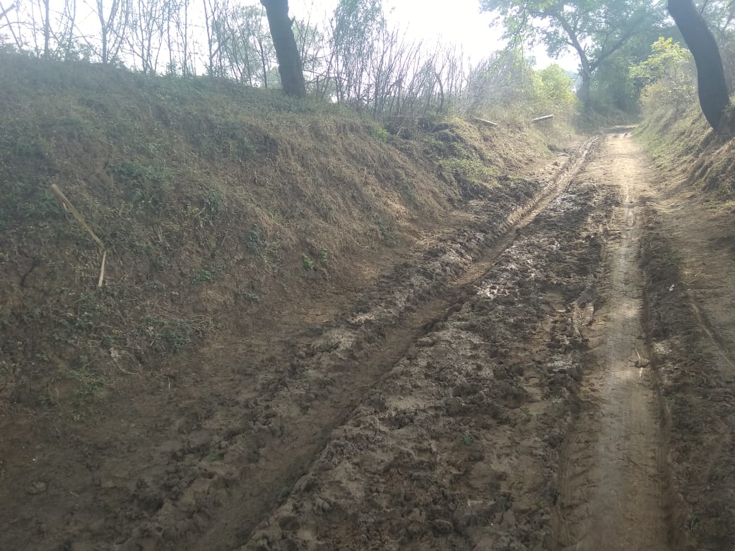 narsihpur, Villagers forced , pass through marsh , no bridge