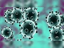 betul, Five medical students, returned to Betul , China, under strict supervision