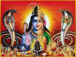 bhopal, The reality of Shiva\