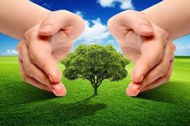 bhopal, Pseudo environmental movement becoming an obstacle