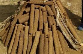 bhopal, Appeal, Collector , Gaukastha ,Holika Dahan