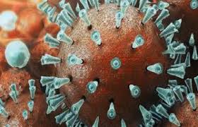 bhopal, Infinite expansion of corona microbe