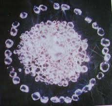 panna, Auction ,111 pieces of diamonds, shallow mines