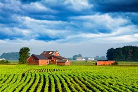 bhopal, American villagers are returning to villages