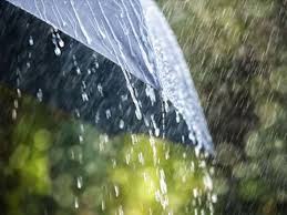 bhopal, Changes, weather patterns, MP western disturbance