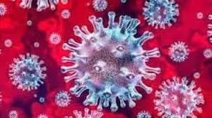 bhopal,187 people, have died, corona ,Madhya Pradesh, 3185