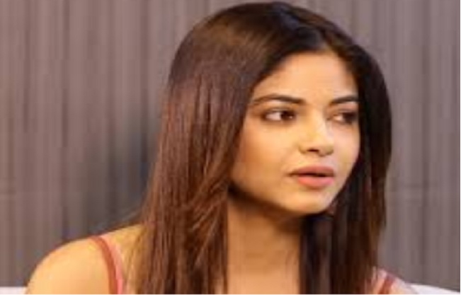 mumbai, Actress Meera Chopra, father robbed,showing knife
