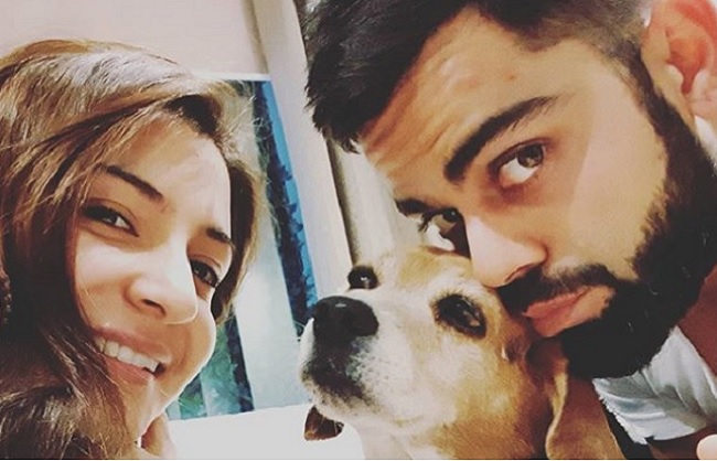 mumbai, Anushka Sharma, saddened,death of Pet Dog 