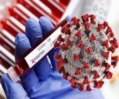 mandsour, Complete ,12 new cases , corona positive, district