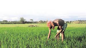 bhopal,The role of agriculture will be decided afresh