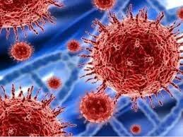 ujjain, 25 new coronas ,found in Ujjain, 10 in Burhanpur infected