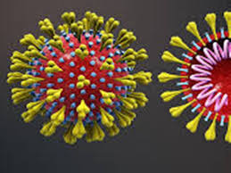 bhopal, Death toll, corona, MP, reached 367,  infected reached 8543