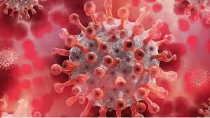 bhopal, corona infected,Madhya Pradesh,10,897, , 463 people died