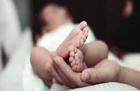 dhar, Four newborns, died,a day, district hospital