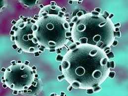 bhopal, Number of MP, Corona infected ,11820,505  died