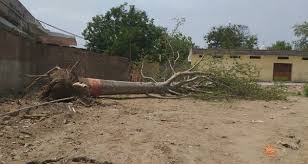 mandsour, Kalpavriksha fell , Pashupatinath temple