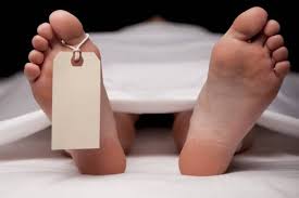 Sehore, One woman killed, two injured , falling ancient, fort wall