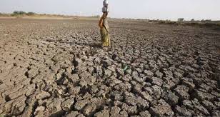 bhopal, The danger of drought is ahead