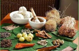 bhopal,Initiatives to promote Ayurvedic medicine