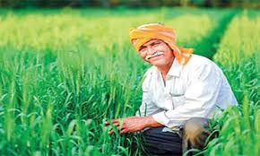 bhopal, This will change the fate of the provider