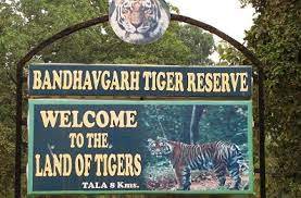 balaghat,Kanha National Park ,opens for tourists, 32 vehicles entered , first day