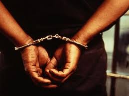 dhar,Arms smuggler ,arrested with, eight country pistols, two kattas