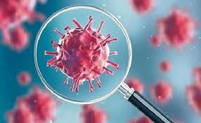 anuppur, 5 new ,corona infected, 31 people leave healthy