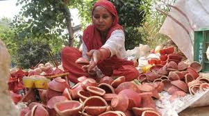 bhopal,Light festival and lamp