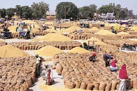 bhopal, Private mandis ,may open soon ,MP government, preparing permission