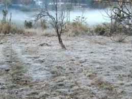 anupur, Freezing snow, Narmada coast and plains, Amarkantak cold 