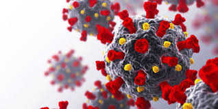 bhopal, speed, Indian IT sector, outweighs Corona