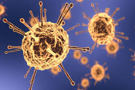 indore, 165 new ,corona patients found ,active patients increased