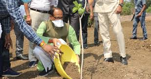 bhopal, Chief Minister ,Shivraj Singh Chauhan planted, almond plant ,smart garden