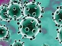 ujjain,85 new cases,corona found , 68 recovered