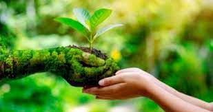 bhopal, Save the earth, give this hand, take that hand