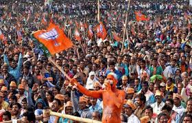 bhopal, BJP, new parliamentary model, Sangh