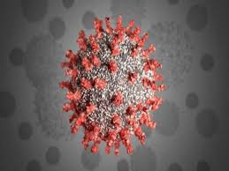 bhopal, How to dea,l with leader Corona