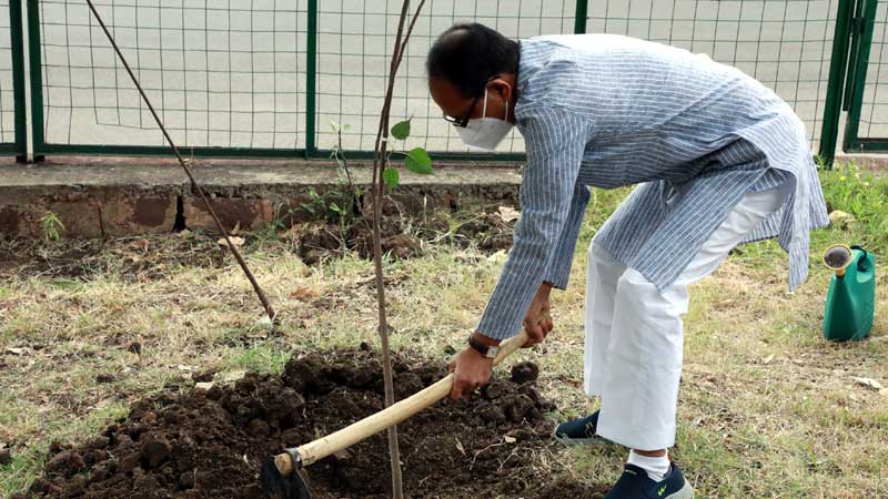 bhopal, Chief Minister, Shivraj Singh Chauhan, planted Peepal plant 