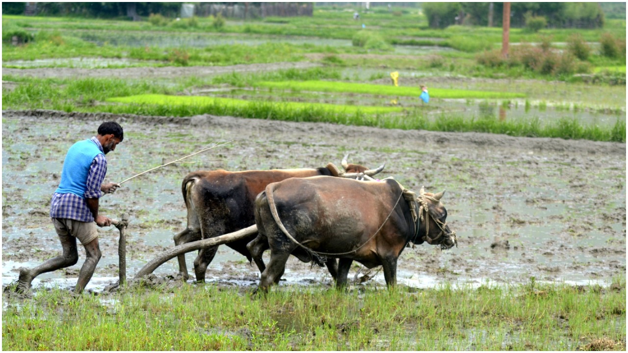 bhopal, Growing miseries , farmers during , Corona period
